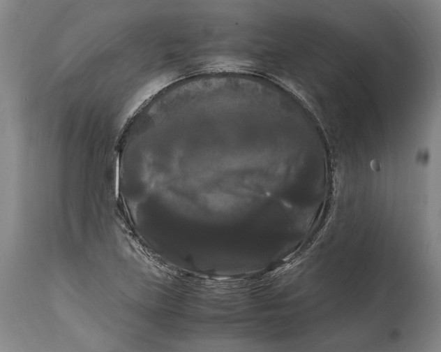 X0000114621219200911101207