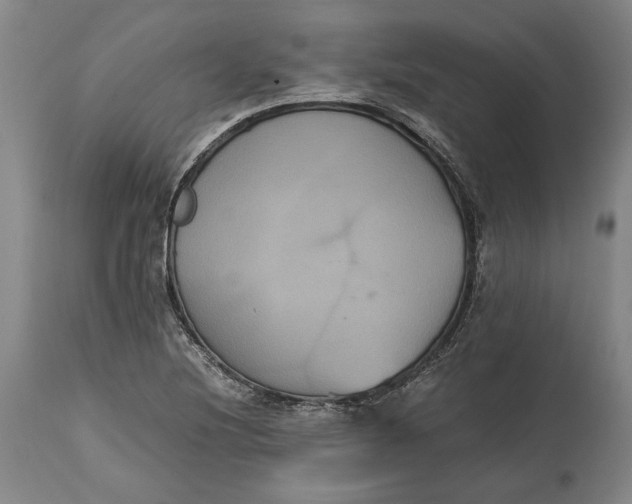 X0000114621220200911101207