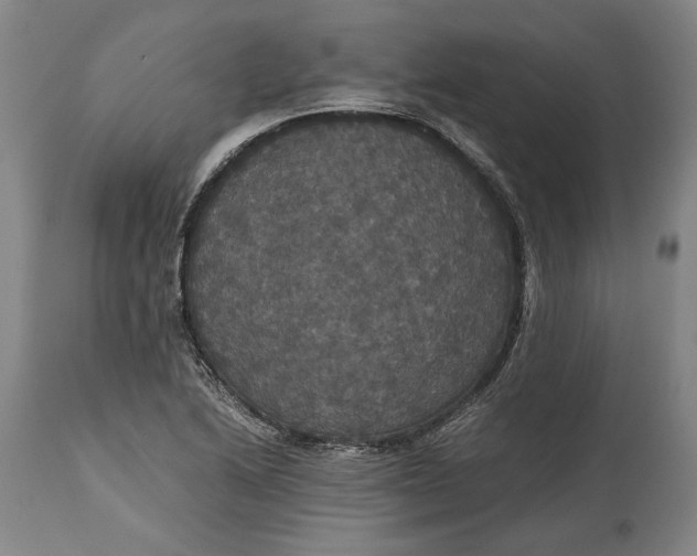 X0000114621222200911101207