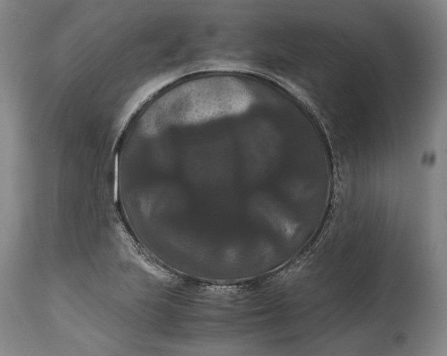 X0000114621223200911101207