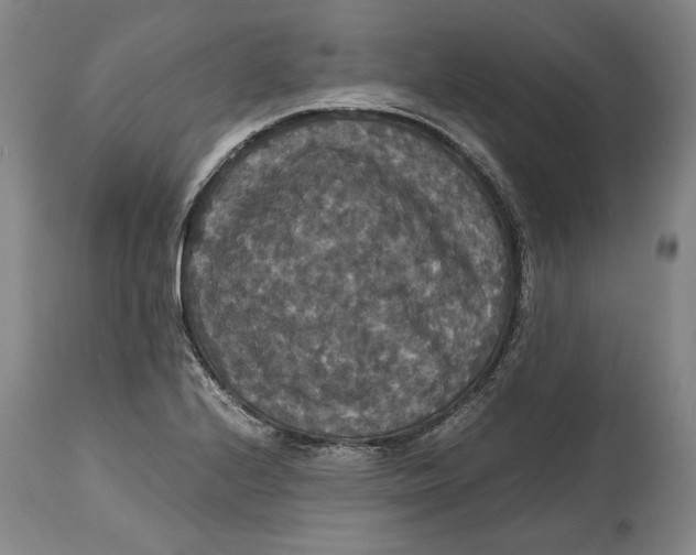 X0000114621224200911101207