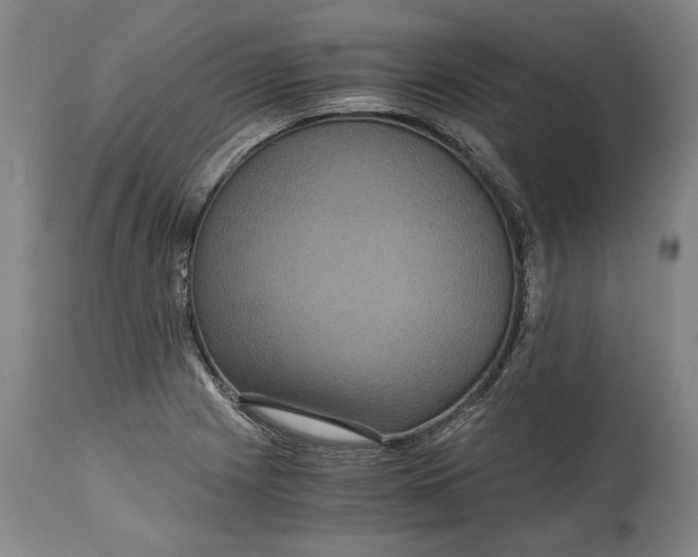 X0000114621225200911101207