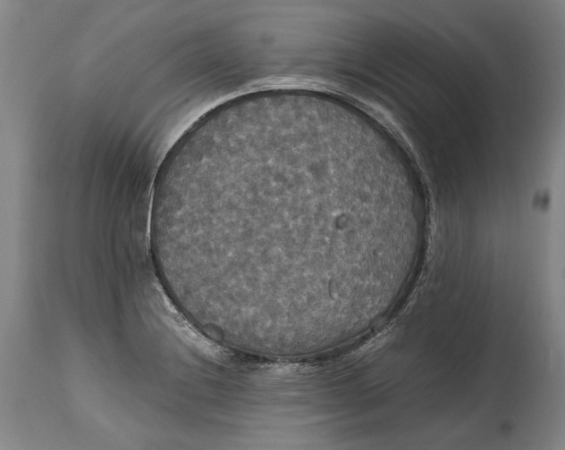 X0000114621228200911101207