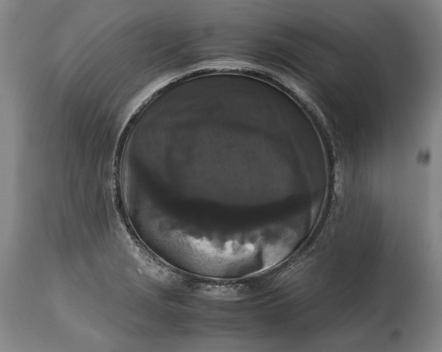 X0000114621229200911101207
