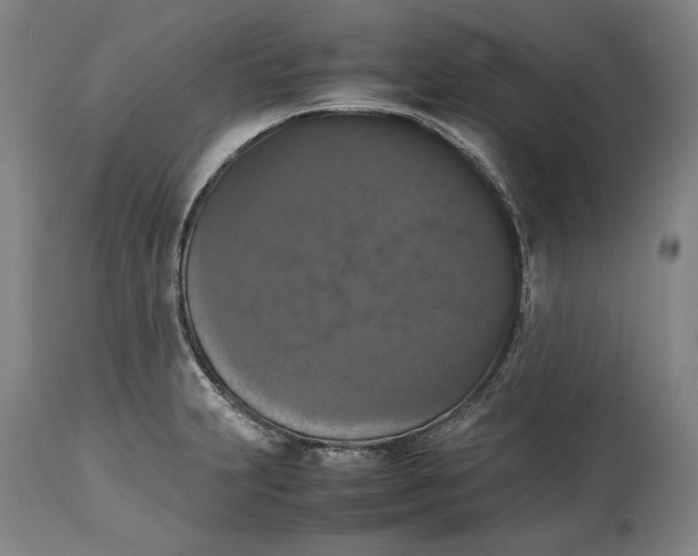 X0000114621231200911101207