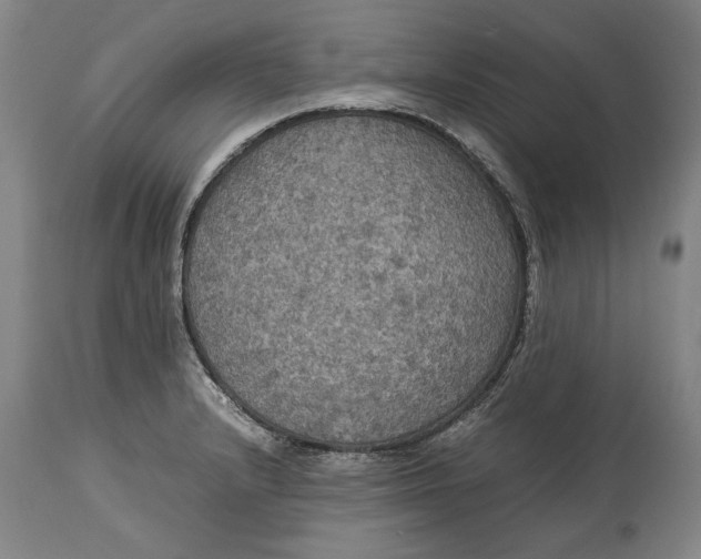 X0000114621232200911101207