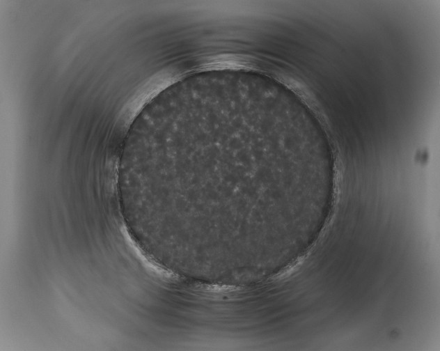X0000114621233200911101207