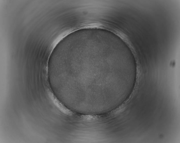 X0000114621234200911101207