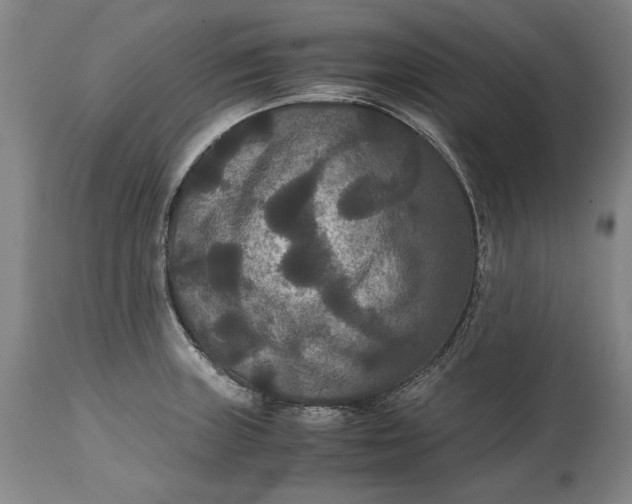 X0000114621235200911101207