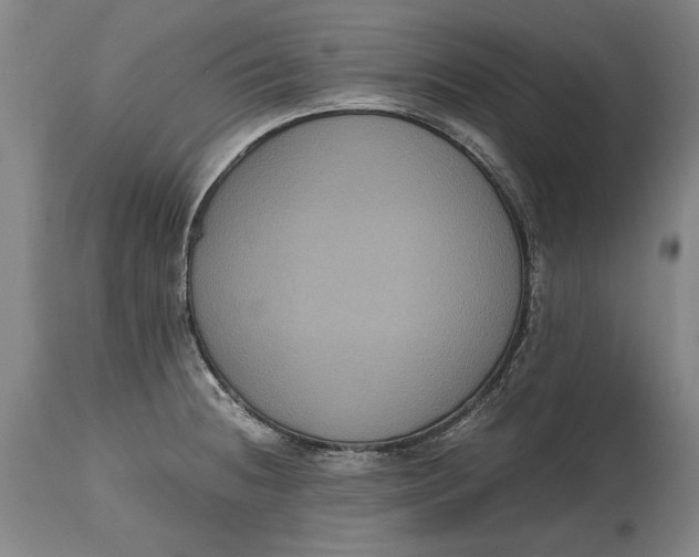X0000114621236200911101207