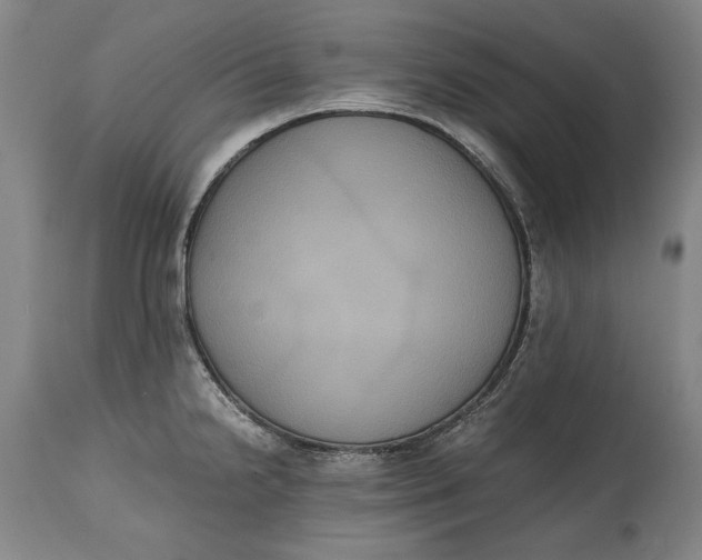 X0000114621238200911101207
