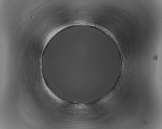 X0000114621239200911101207