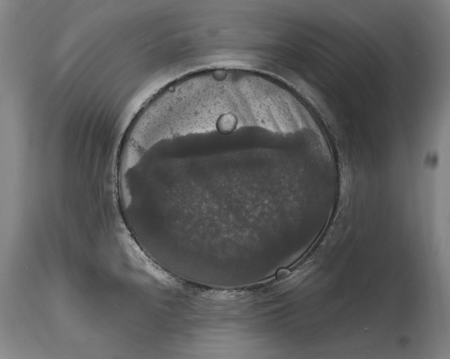 X0000114621240200911101207