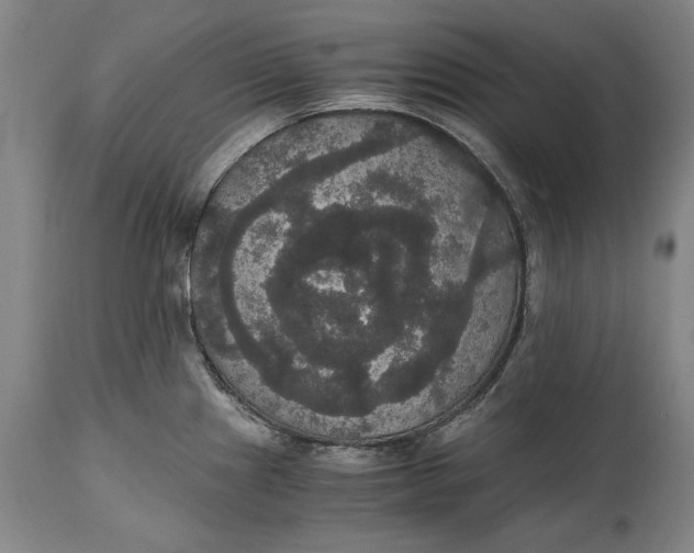 X0000114621241200911101207