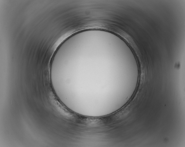 X0000114621242200911101207
