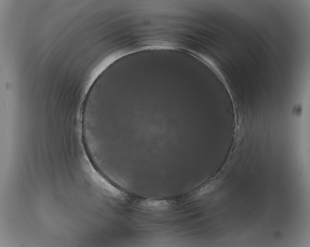 X0000114621243200911101207