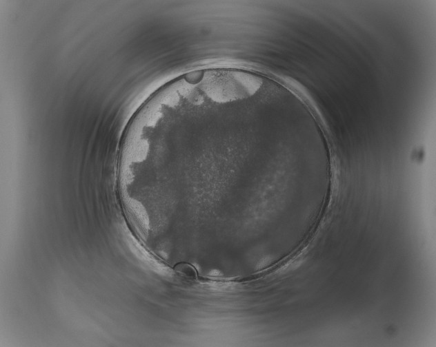 X0000114621244200911101207