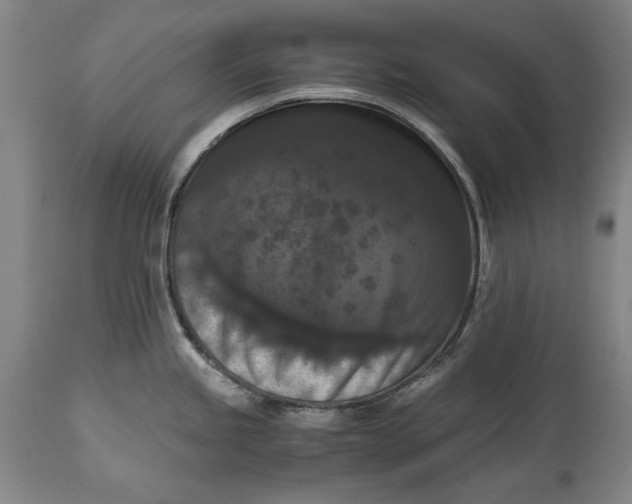 X0000114621245200911101207