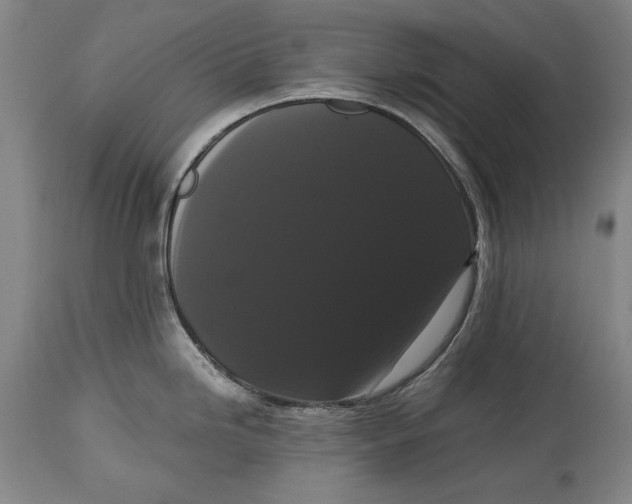 X0000114621246200911101207