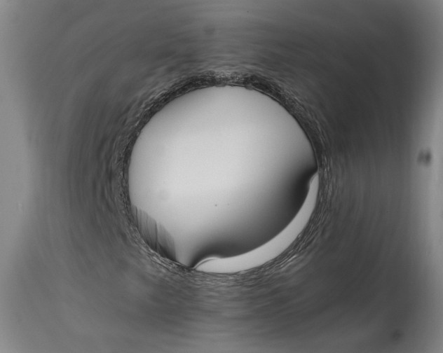 X0000114621249200911101207
