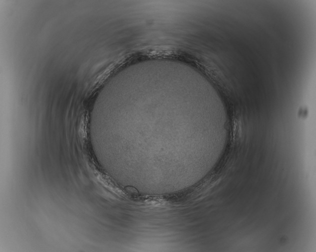 X0000114621250200911101207