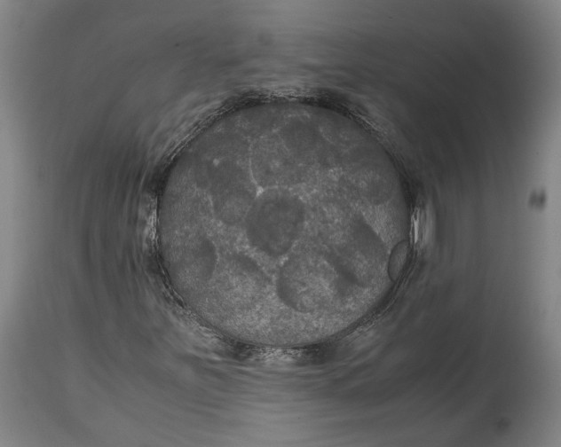 X0000114621251200911101207