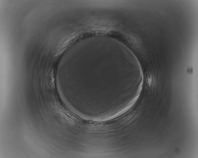 X0000114621252200911101207