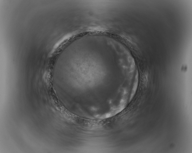 X0000114621254200911101207