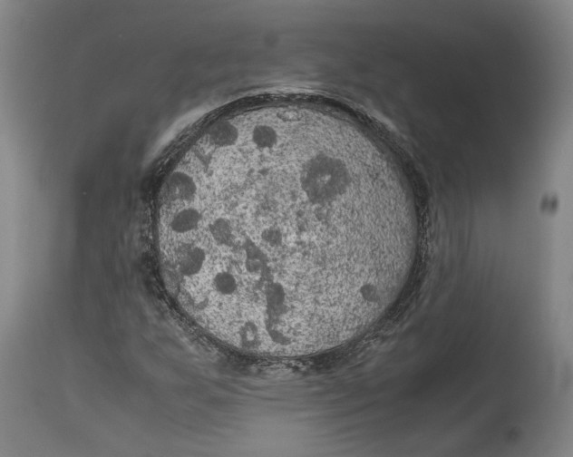 X0000114621255200911101207