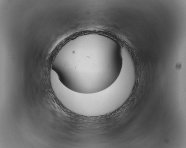 X0000114621256200911101207