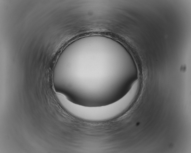 X0000114621257200911101207