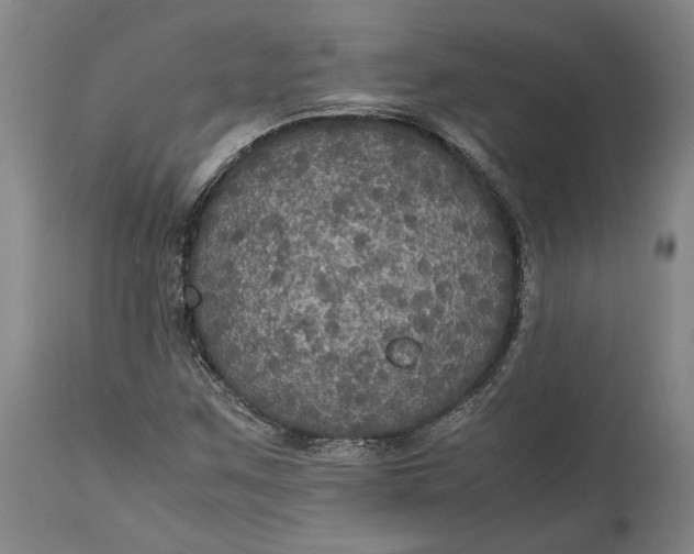 X0000114621259200911101207
