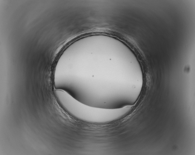 X0000114621260200911101207