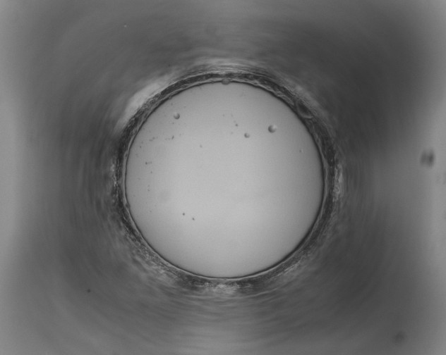 X0000114621261200911101207