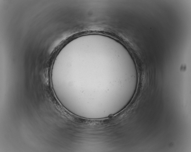 X0000114621262200911101207