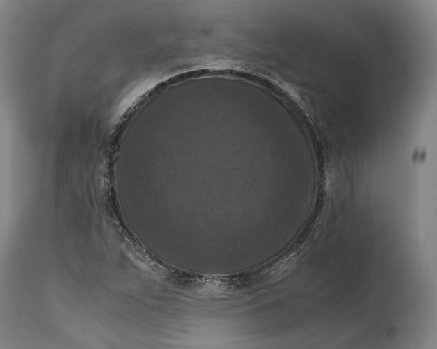 X0000114621263200911101207