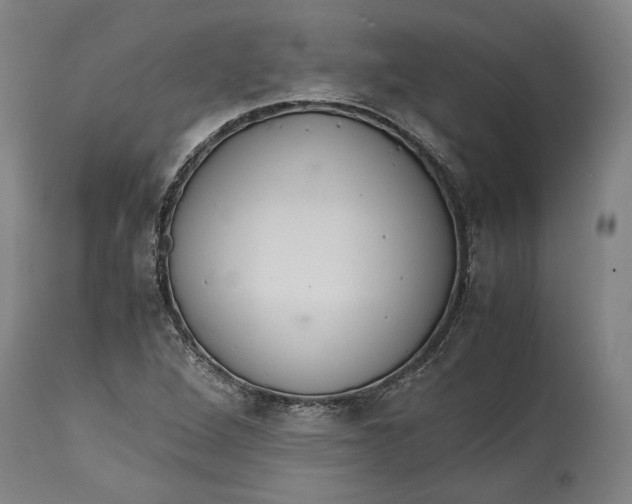 X0000114621264200911101207