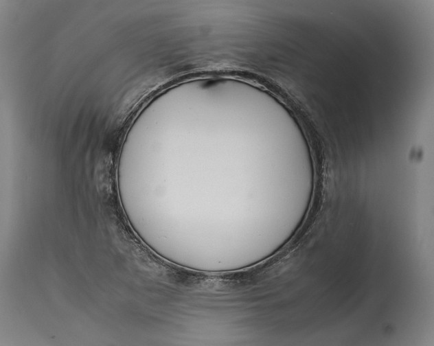 X0000114621265200911101207