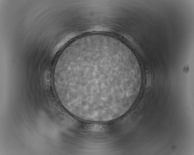X0000114621266200911101207