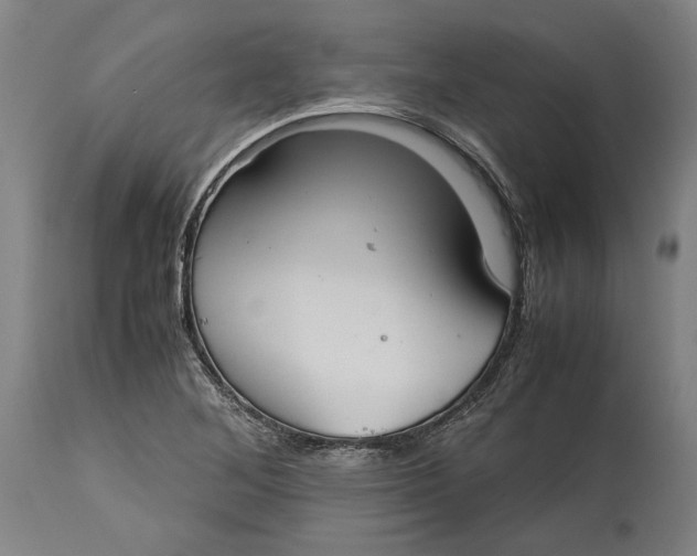 X0000114621268200911101207