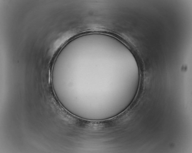 X0000114621269200911101207