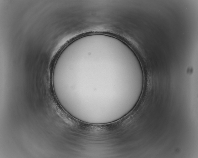 X0000114621270200911101206