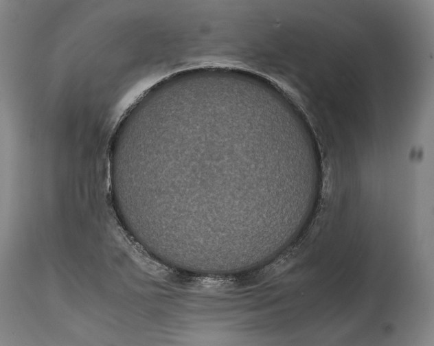 X0000114621271200911101206
