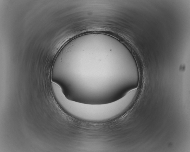 X0000114621273200911101206