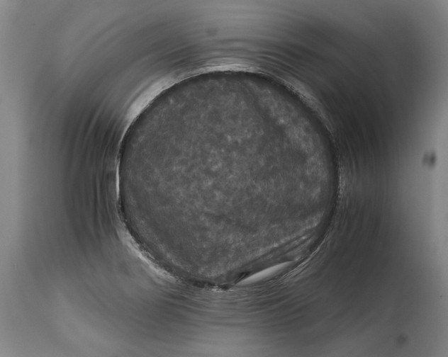 X0000114621274200911101206