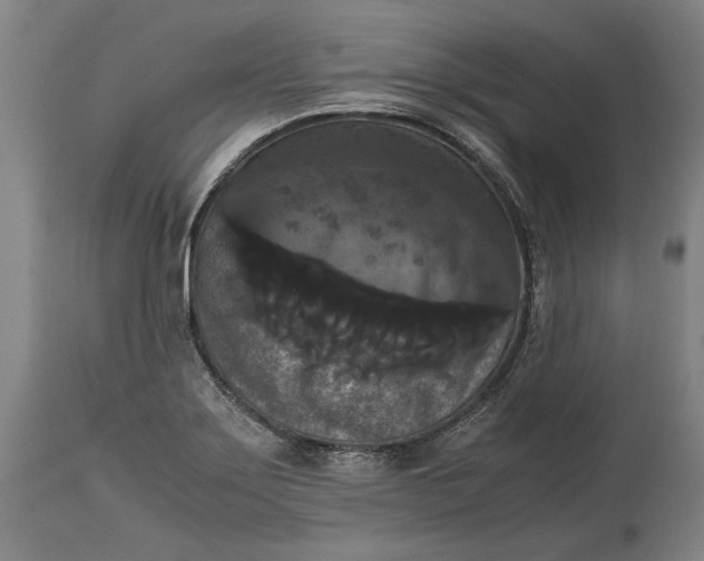X0000114621275200911101206