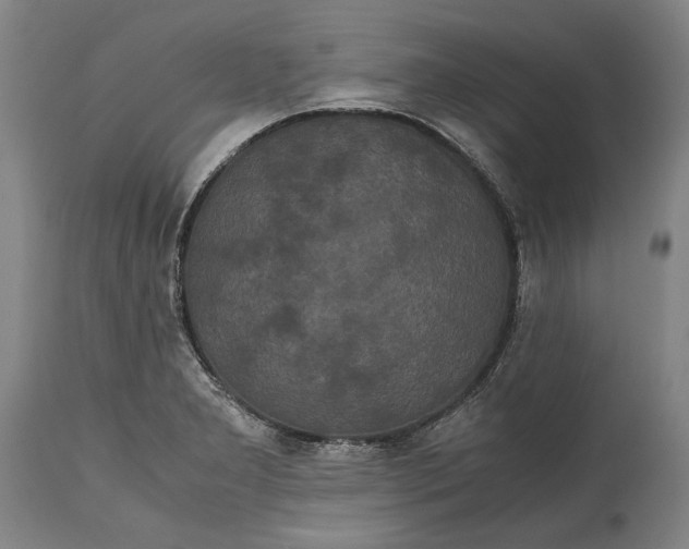 X0000114621277200911101206
