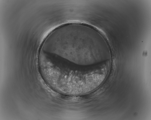 X0000114621279200911101206