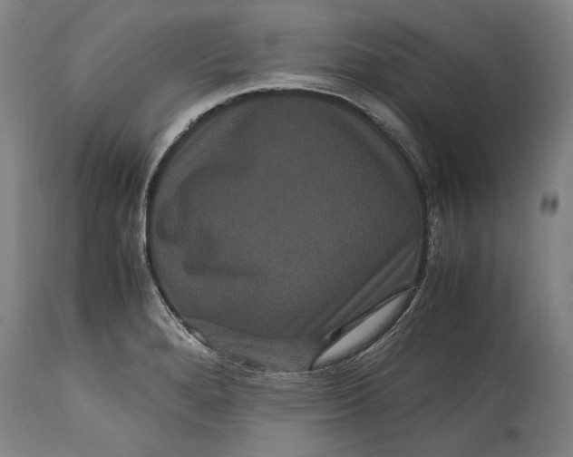 X0000114621280200911101206