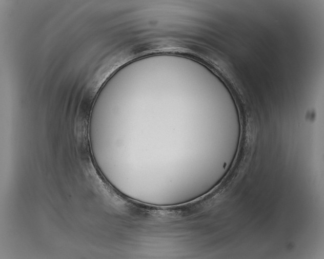 X0000114621281200911101206